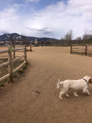 Davidson Mesa Open Space Dog Off-leash Area